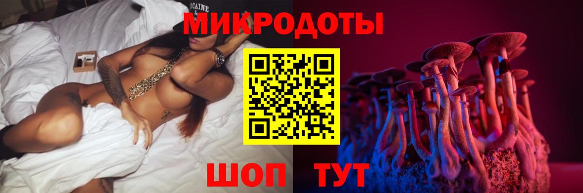 Пугачёв  Псилоцибиновые грибы мицелий  Вход с VPN 